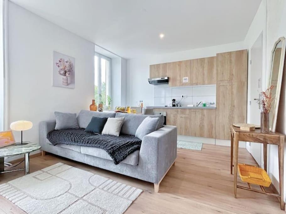 1 Appartement 3P Ideal Famille Travail Renove Lumineux Parking Gratuit Mulhouse Exterior photo