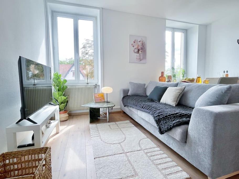 1 Appartement 3P Ideal Famille Travail Renove Lumineux Parking Gratuit Mulhouse Exterior photo