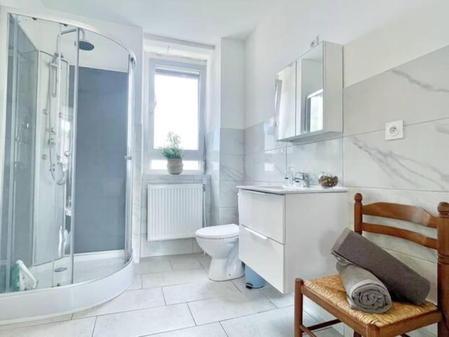 1 Appartement 3P Ideal Famille Travail Renove Lumineux Parking Gratuit Mulhouse Exterior photo